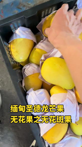 缅甸圣德龙芒果
无花果之无花斑果