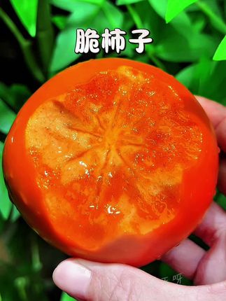 终于等到脆柿子上市了,每年都会给家人买,又脆又甜满满的糖心,每一口都是嘎嘣脆,真的太爱了!#脆柿子  #巧克力柿子 #现摘现发新鲜到家 #新鲜应季水果 #谁懂这一口的好吃程度