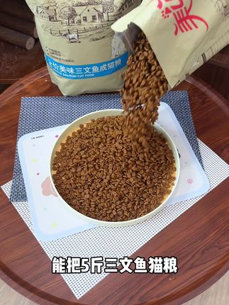 我是真没想到5斤三文鱼猫粮到手才这个价,趁着活动划算,正准备换粮的姐妹真的可以试试#养猫新手 #猫粮推荐 #猫粮测评 #新手养猫