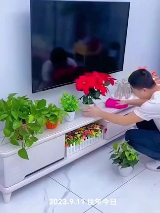 #花架 #室内绿植 #花卉绿植 #居家好物