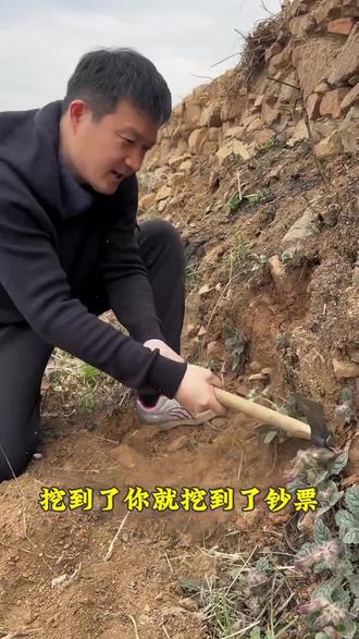 每天认识一种中草药:#草药植物知识百科大全 #创作者扶持计划 #创作灵感