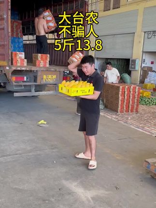 #芒果 #台农芒果