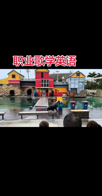 听歌学英语:英语职业#海狮表演 #水上乐园