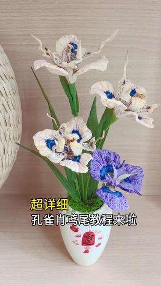 孔雀肖鸢尾花的教程来啦~不同品种肖鸢尾参考图放在视频最后,有需要可拉到最后截图保存哦~
#扭扭棒 #手工制作 #手工 #教程 #鸢尾花