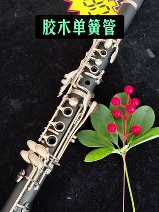 胶木单簧管#好物推荐🔥 #好物分享 #每日分享