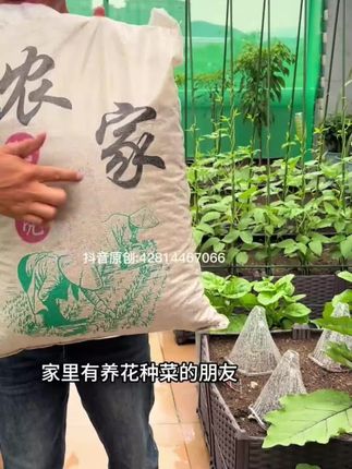 #稻谷壳 #园艺肥料 #园艺肥料推荐