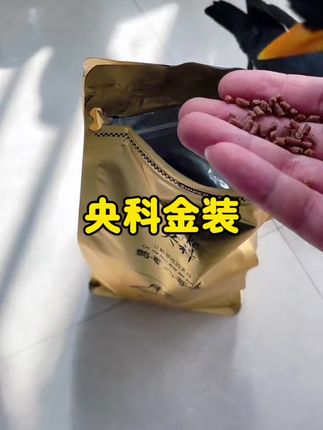 金装鸟食