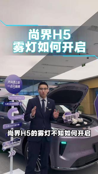 新年新气象🎉 鸿蒙智行尚界H5雾灯开启方式#马年吉祥 #鸿蒙智行