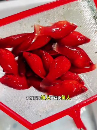 #杨紫座驾曝光 #昆仑山开瓶不洒挑战 #宝宝哭闹解决方法 #