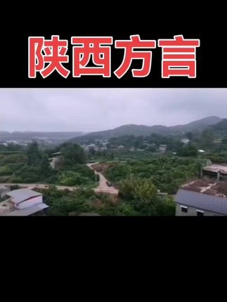 #搞笑 #陕西方言 #幽默