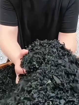 有喜欢吃群带菜的吗?这个群带菜非常的鲜嫩,营养丰富,清洗方便又简单,真的很好吃,现在有活动快来尝尝吧!#群带菜 #营养又健康 #简单又美味 #大人小孩老人都爱吃 #值得推荐