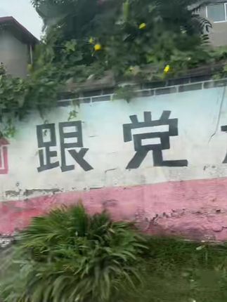 艺术笨鸟修复补墙膏室内涂鸦污渍环保白色墙皮脱落防水修补乳胶漆#补墙膏 #修复补墙膏 #室内补墙膏 #环保补墙膏 #乳胶漆补墙膏