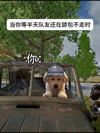 #pubg@绝地求生开黑YY256 #绝地求生 #2025鸡斯卡星火计划 #gd空降pubg #一起pubg