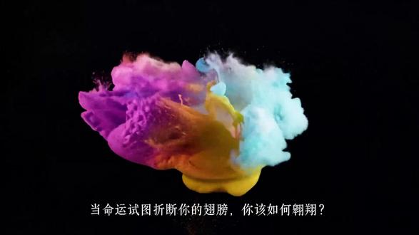 当命运试图折断你的翅膀,你该如何翱翔?