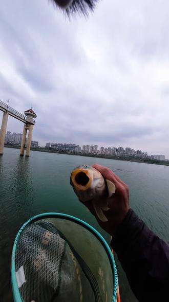 大爷推荐的钓点还真是不简单!#野钓随时有惊喜 #钓鱼王地狱猫 #抖音运动班 #螺纹钢综合 #螺纹钢宗 @汉鼎官方旗舰店 @抖音小助手