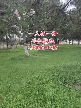 #手机快充数据线推荐 #充电器 #数据线 冲呀,福利品哦