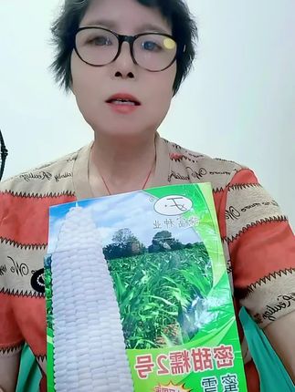 嘎嘎香糯