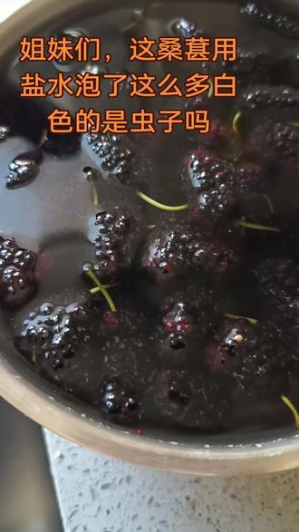 心态崩了#桑葚 #桑葚里面有虫