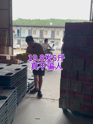 #百香果 #黄金百香果