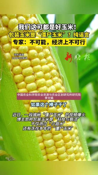 专家回应包装玉米是“僵尸玉米” 包装玉米是“僵尸玉米”返老还嫩这种说法纯属谣言,专家表示,要把普通玉米重新变湿,需更多人力和时间,经济上完全不可行 #网传僵尸玉米视频系谣言 #辟谣 #玉米 (新闻来源:央视网快看 | 编辑:赵贺 | 初审:范思瑶 | 复审:范思瑶 | 终审 :刘鹏 | 校对:周正 )