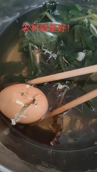 #水麻叶的功效与作用