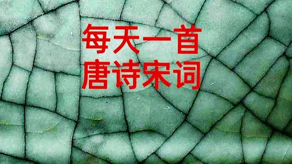 #弘扬中国文化 #创作者中心 #创作灵感 陆游梅花绝句其六