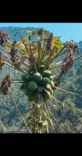 #山水风景 初六、临沧云县昔宜,云南小三亚