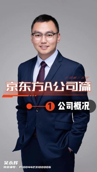 京东方A公司篇-公司概况 #京东方a 公司概况