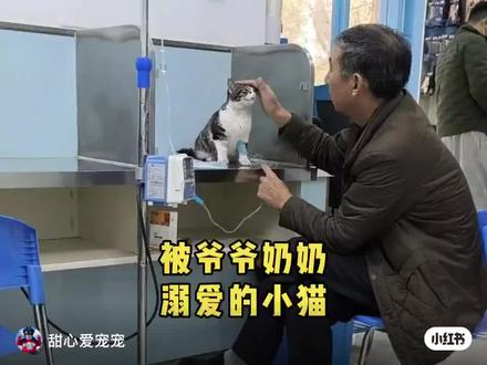 #世界破破烂烂,小猫缝缝补补