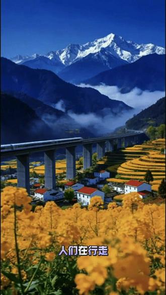 抖音玩法达人合伙计划#