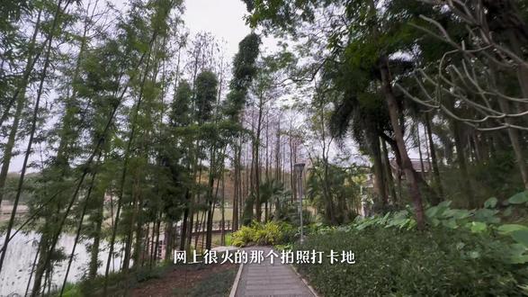 听说狮山公园的“狮”以前不是狮子的狮……
#vlog日常 #旅游 #南宁