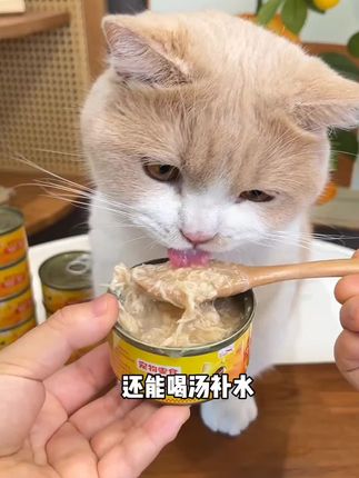 1块钱一罐的鸡丝罐到货了,还是98%的动物蛋白,0谷物0肉粉0诱食剂,猫咪吃的更放心!#萌宠好物 #猫罐头 #抖in萌宠计划 #新手养猫