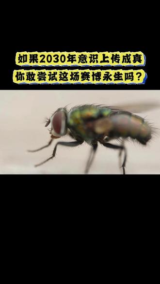 如果2030年意识上传成真,你敢尝试这场赛博永生吗?
