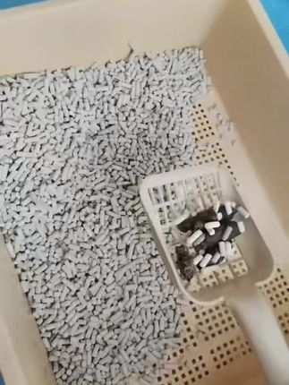 沸石猫砂