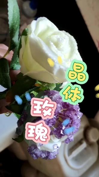 化学 晶体玫瑰#硫酸铬钾 #硫酸铝钾
不同晶体析出不同颜色。晶体生长状态。
