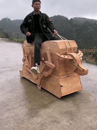 阿丽记录真实生活