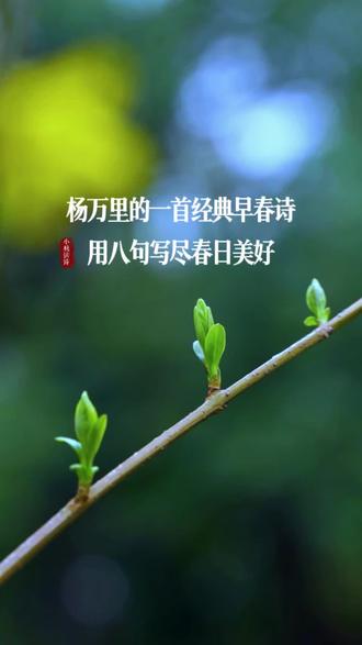 杨万里的经典早春诗,用八句写尽春日美好。《南溪早春》是南宋诗人杨万里创作的一首七言律诗。此诗为诗人晚年退职家居期间所作,首联扣合题目,概述还家五年来的景况;颔联写柳绿桃红的早春景色;颈联写衰翁在早春时节静居亭馆与漫步溪山的感受;尾联以春雨兆丰年收结。此诗用词通俗生动又富有理趣#诗词#春日#文化#人生#杨万里