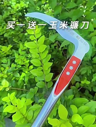 🌽【买一送一】玉米镰刀💎 加厚锰钢刃口,收割玉米杆/杂草一气呵成! #农用工具 #玉米收割