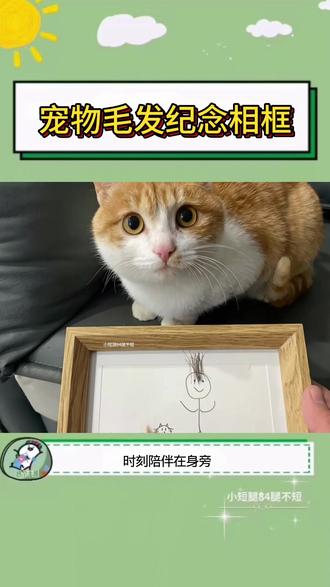 也许十年后我会看着这个相框痛苦,但我更害怕到时候找不到你的足迹 #相框 #摆件 #宠物 #手工DIY#和猫猫的全家福