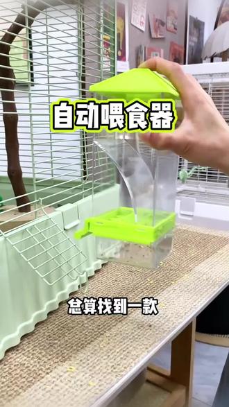 不想每天跟在鹦鹉后面收拾的 换成这种自动下料器试试#手养鹦鹉 #宠物喂食器 #养宠阶段教程 #鹦鹉喂食器 #好物推荐