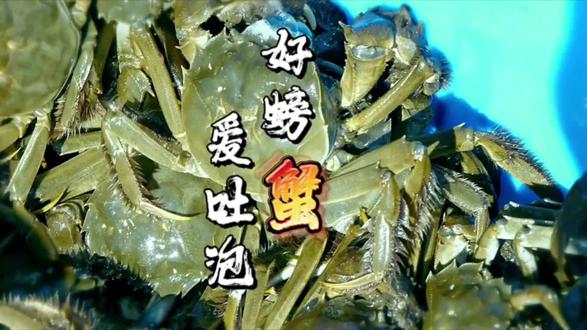 你买的大闸蟹爱吐泡泡吗?#大闸蟹养殖 #大闸蟹 #抖音助农 #美食测评 #新农人计划2023