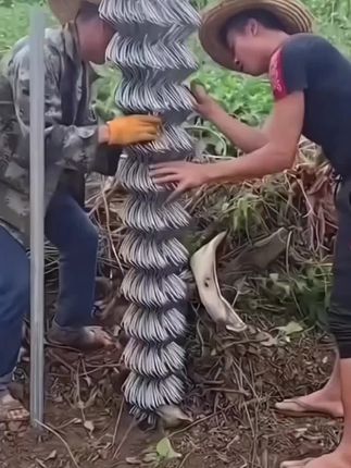 围栏网