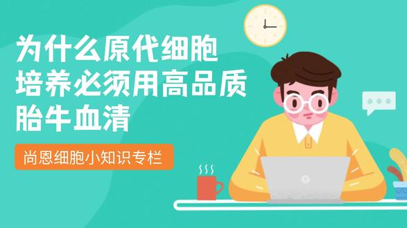 为什么原代细胞培养必须用高品质胎牛血清 原代细胞直接从机体组织中分离获得,未经永生化改造,对外界环境变化极为敏感。与永生化细胞系不同,原代细胞在体外存活和增殖能力有限,培养条件稍有不当就会导致生长停滞或分化。胎牛血清是细胞培养基中最关键的添加成分,为细胞提供生长因子、激素、附着因子和营养物质。对于原代细胞而言,血清品质直接决定细胞能否成功贴壁、存活和增殖。
#原代细胞 #原代细胞培养 #生命科学 #细胞培养 #血清