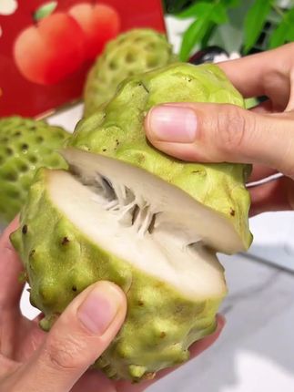 长在树上的冰淇淋,你吃过吗?!乳白色的果肉,口感就像在吃冰淇淋,软糯香甜,细腻嫩滑!甜到心坎里去了! #释迦果 #凤梨释迦水果 #正宗软糯释迦果 #释迦果的吃法 #优质水果