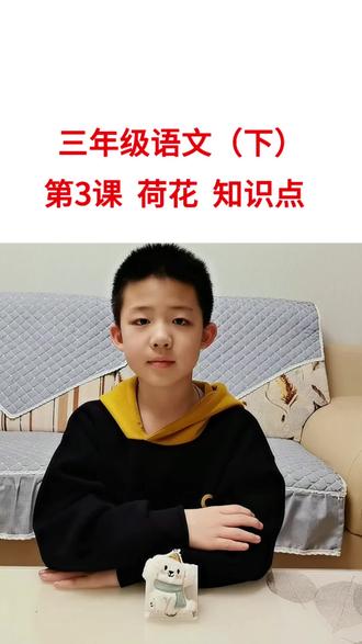 三年级语文(下)第三课 荷花 知识点#语文学习 #辅导作业的那些事 #语文知识分享
