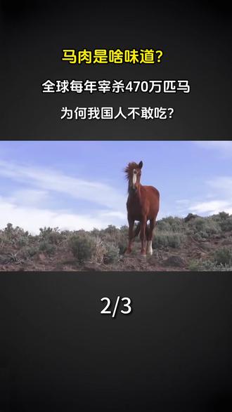 马肉是啥味道?全球每年宰杀470万匹马,为何我国人不敢吃? #科普 #涨知识 #马肉