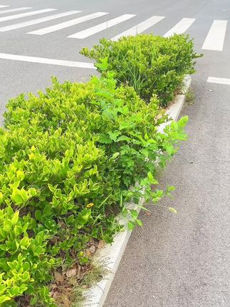 #奥妙洗衣粉 #好物推荐🔥 #自用好物推荐 #污渍轻松去除 #我捡到宝了
