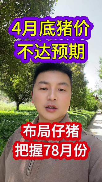 猪价高点已定,布局仔猪,挣大钱 #养猪人#自繁自养#三农养殖#猪价行情#六脉神剑