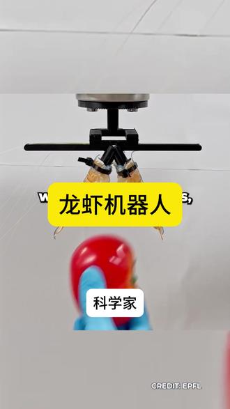 科学家将龙虾转化为强大的机器人