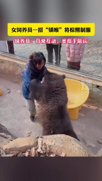 女饲养员一招“锁喉”将棕熊制服,饲养员:日常互动,类似于陪玩